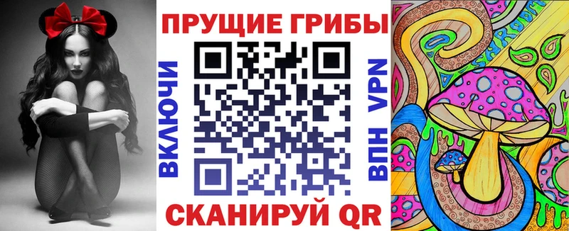 Псилоцибиновые грибы Psilocybine cubensis  Билибино 